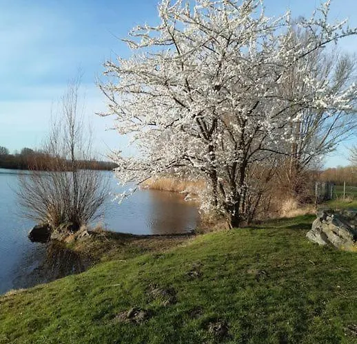 公寓 Margit Am Park *